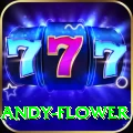andy flower Live Casino Royal