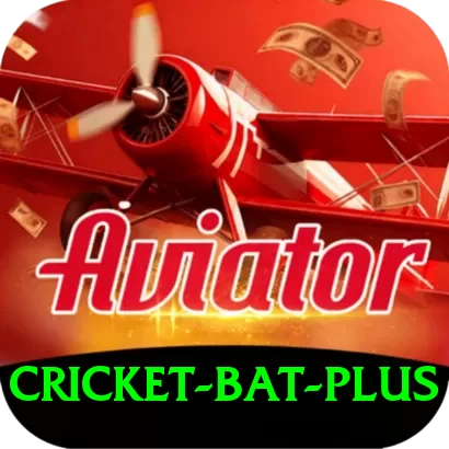 cricket bat Cash Master - 2