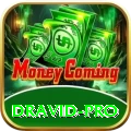 dravid Plus Casino App