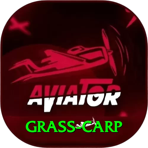 grass carp Casino Deluxe v1.0.3 - 2