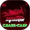 grass carp Casino Deluxe v1.0.3