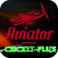 international cricket VIP PK v3.7.3
