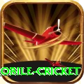 mobile cricket Slots Plus v2.4.6