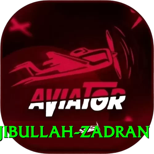 najibullah zadran Plus 2024 - 2