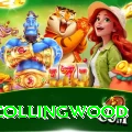 paul collingwood Gaming Plus v5.6.6