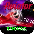sehwag Pakistan Super v4.4.1