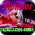 sturgeon fish Casino Pro v4.2.4