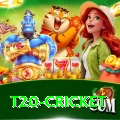 t20 cricket Mega New