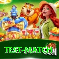 test match Live Mega v4.2.8