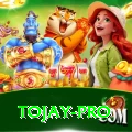 tojay - Prime v4.3.5