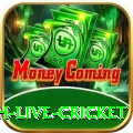 watch live cricket Legend Latest v2.2.4