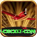 www cricket com - Premium v1.9.4